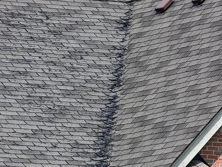 Dfw Roof Repair