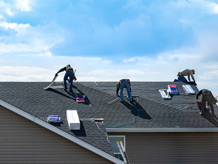 Little Elm Roof Replacement