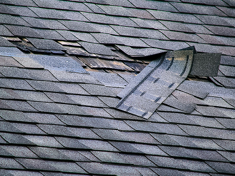 Roof Repair Little Elm