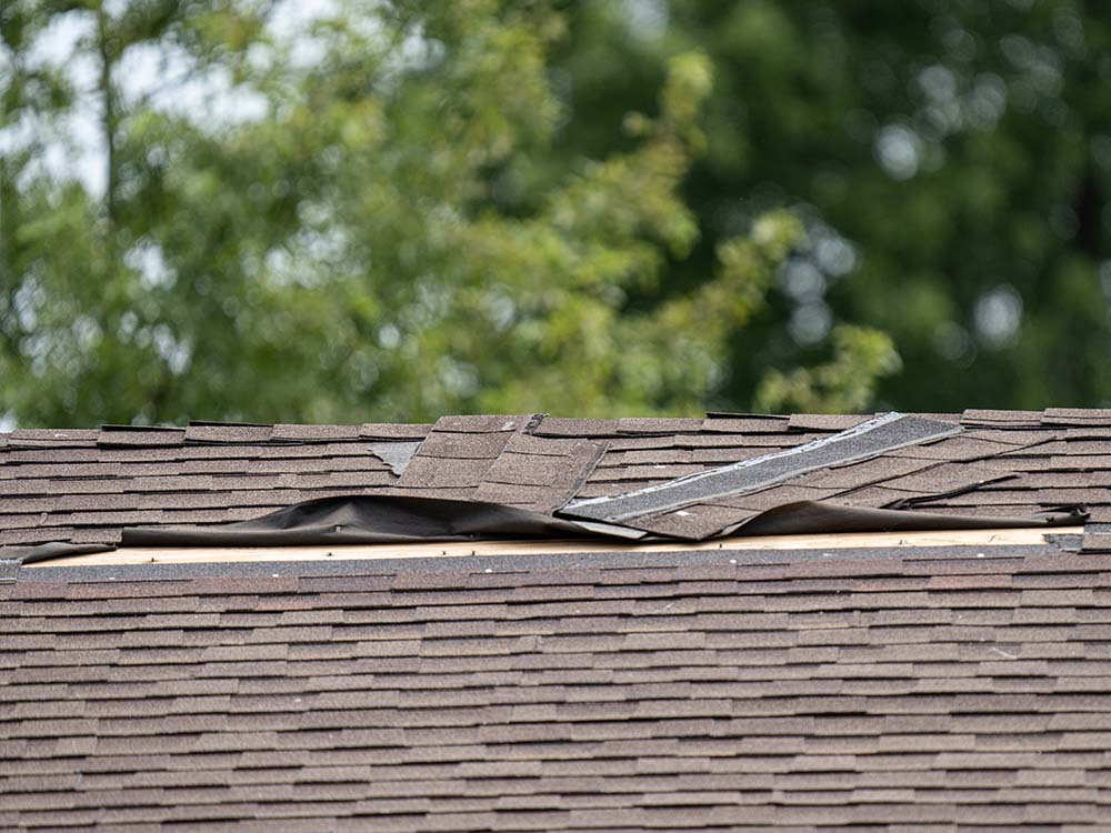 Roof Repair Plano